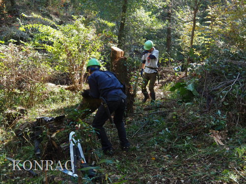 ���R��y��