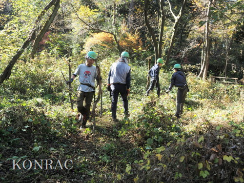 ���R��y��