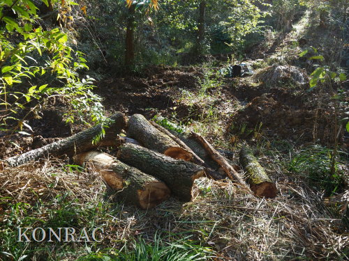 ���R��y��