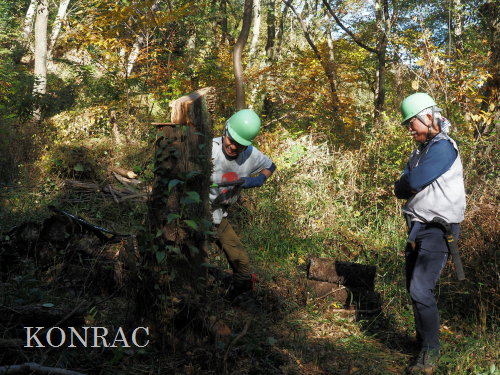 ���R��y��