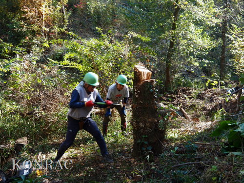 ���R��y��