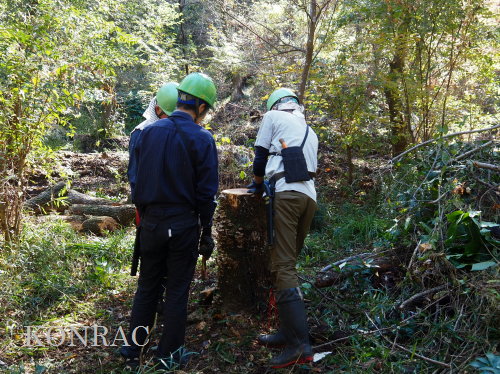 ���R��y��