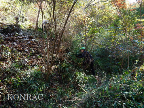 ���R��y��