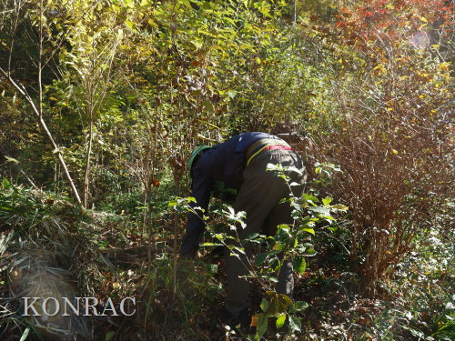 ���R��y��