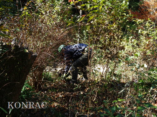 ���R��y��