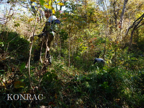 ���R��y��