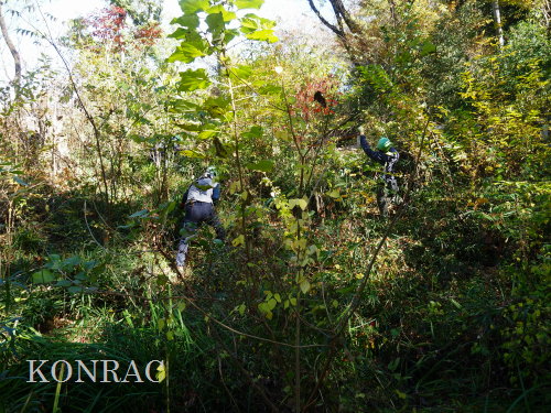 ���R��y��