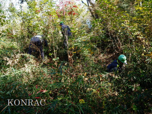 ���R��y��