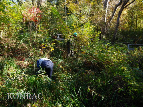 ���R��y��