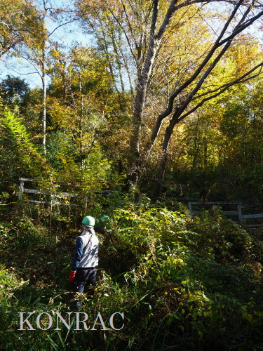 ���R��y��