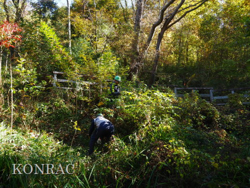 ���R��y��