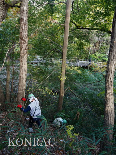 ���R��y��