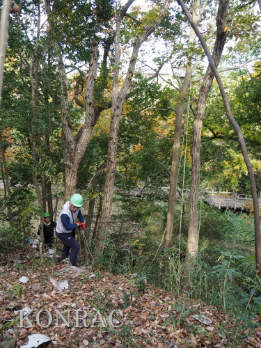 ���R��y��