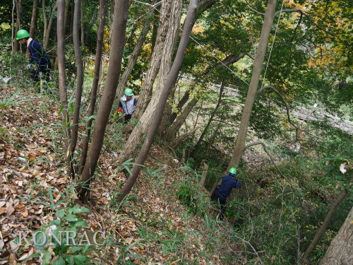 ���R��y��