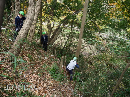 ���R��y��