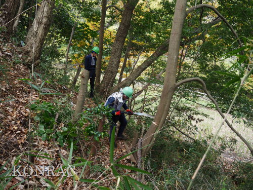 ���R��y��