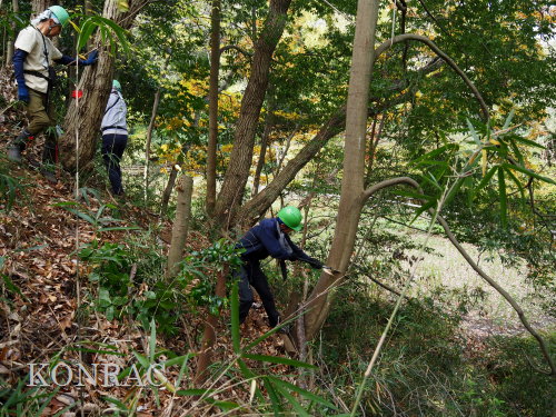 ���R��y��