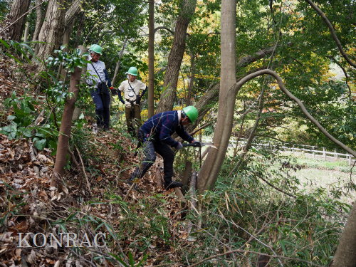 ���R��y��