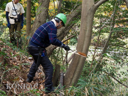 ���R��y��