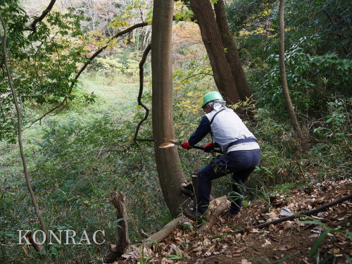 ���R��y��