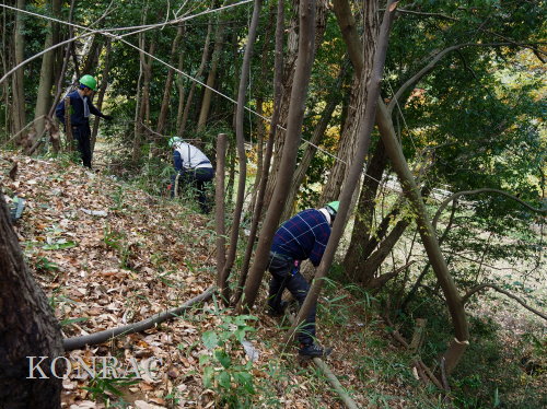 ���R��y��