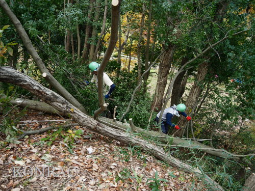 ���R��y��