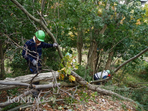 ���R��y��