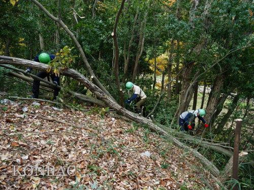 ���R��y��