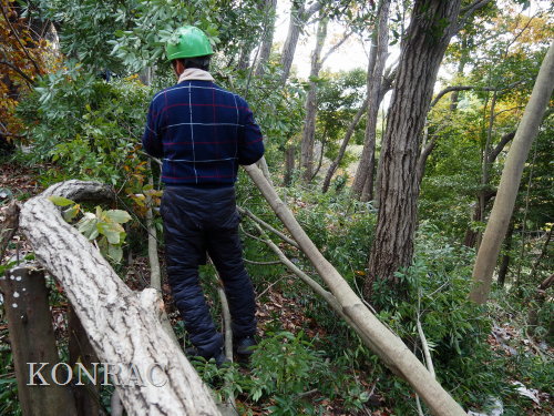 ���R��y��