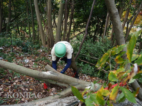 ���R��y��