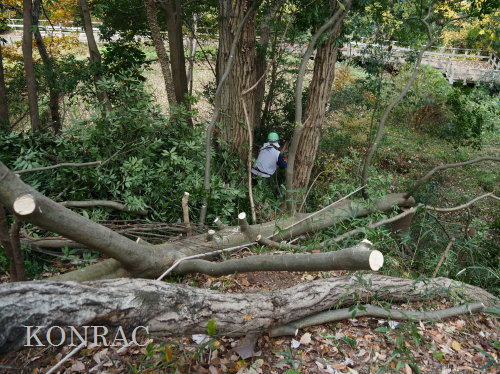 ���R��y��