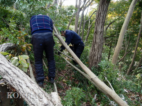 ���R��y��