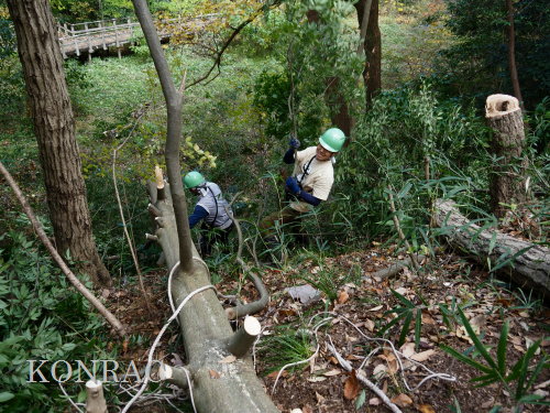 ���R��y��