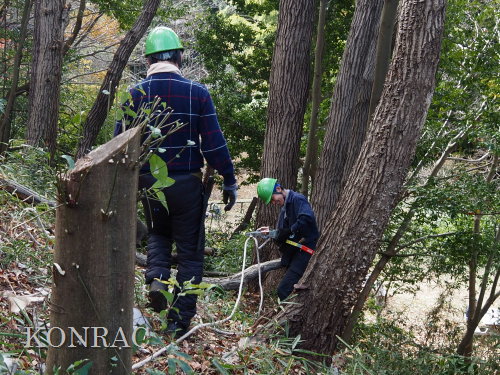 ���R��y��