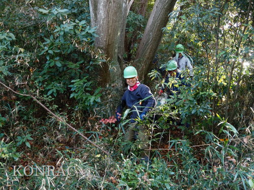 ���R��y��