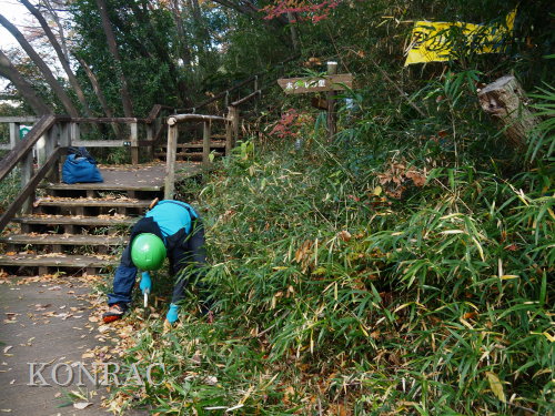 ���R��y��