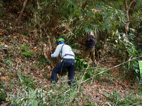 ���R��y��