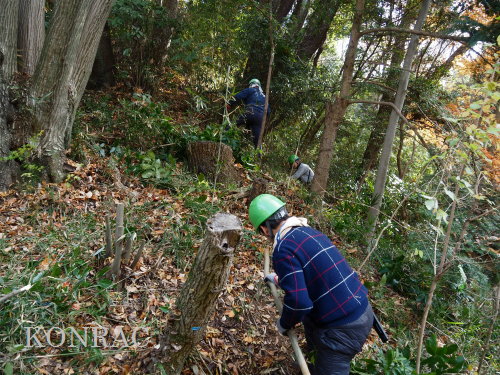 ���R��y��