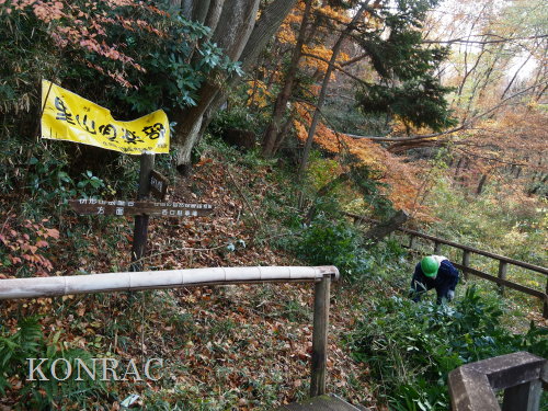 ���R��y��