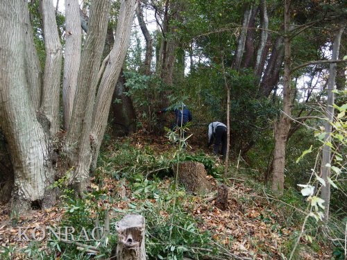 ���R��y��