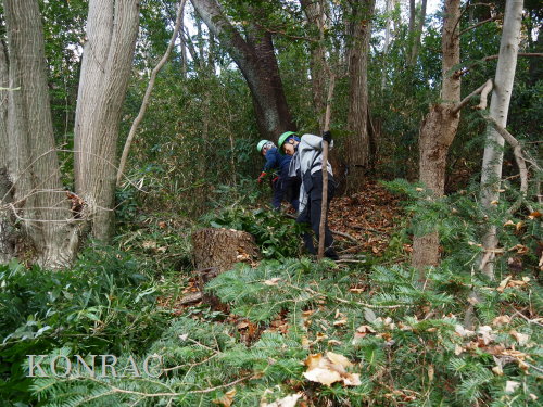 ���R��y��