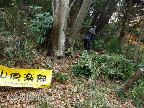 ���R��y��