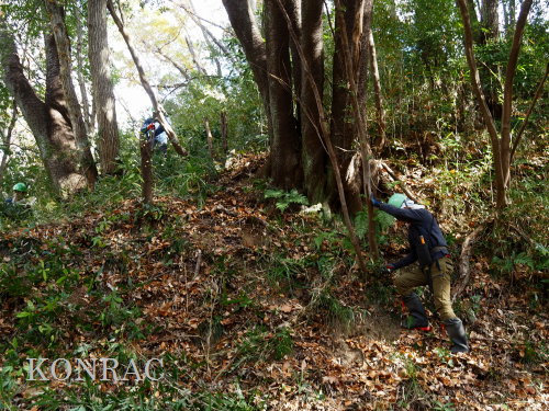 ���R��y��