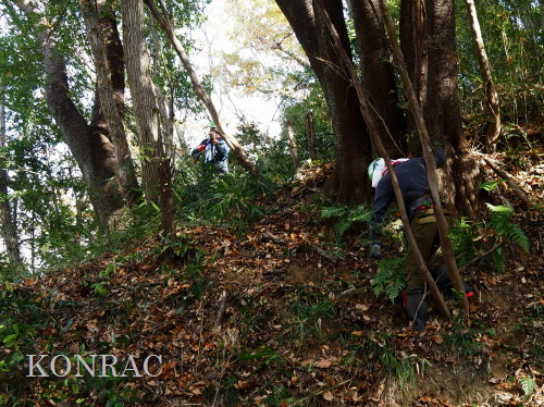 ���R��y��