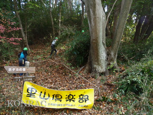 ���R��y��