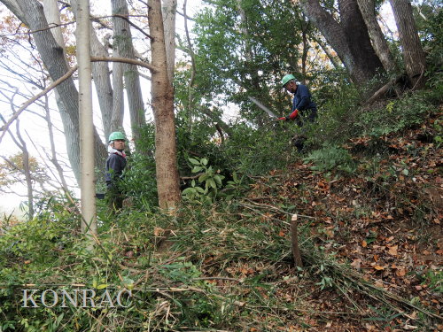 ���R��y��