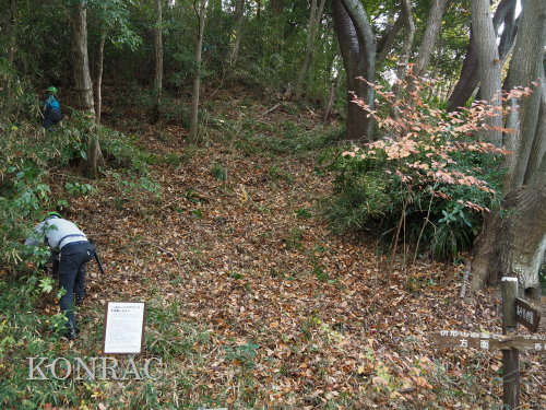 ���R��y��