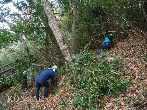 ���R��y��