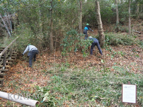 ���R��y��