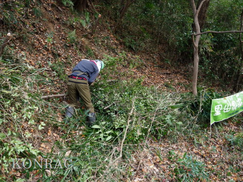 ���R��y��